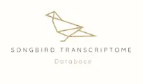 Songbird Brain Transcriptome Database
